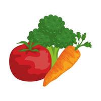verse groenten gezonde voeding pictogrammen vector