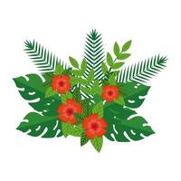 zomer bladeren planten en bloemen decoratie vector