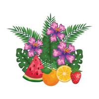 fruit met bladeren, palmen en bloemen vector