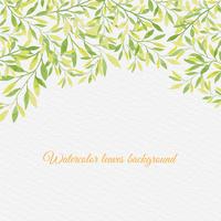 Vectorwaterverfachtergrond met Hand Draw Leaves vector