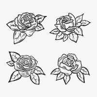 set van roos illustratie vector