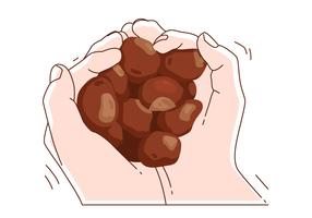 buckeyes in hand illustratie vector