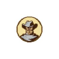 portret van een Mens in een cowboy hoed en masker. pixel stijl. cowboy of rover vector