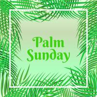Palmzondag Kerstkaart Met Palm Bladeren Grens Achtergrond vector