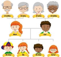 diagram met drie generaties stamboom vector