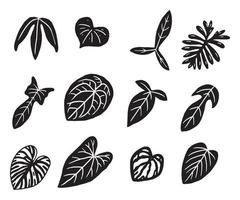 tropisch fabriek blad tekening icoon vector