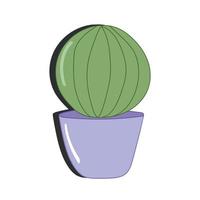 vector tekening illustratie. groen cactus in Purper pot geïsoleerd Aan wit achtergrond. tekenfilm vlak stijl. voor decoratie, stickers.