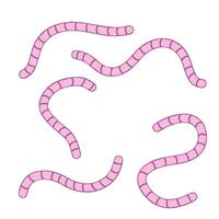 regenworm. roze worm en ondergronds insect. visvangst aas. vlak tekenfilm illustratie vector