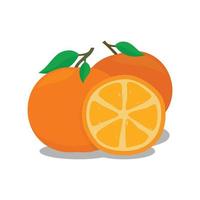 fruit sinaasappelen. oranje fruit afbeelding. oranje fruit vector ontwerp illustratie. oranje fruit symbool. oranje fruit vers ontwerp sjabloon