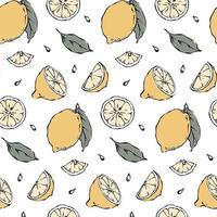 hand- getrokken citroen naadloos patroon met besnoeiing citroen plakjes, bladeren, zaden Aan wit achtergrond, vector illustratie