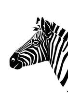 zebra illustratie ontwerp vector