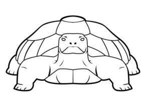 schildpad ontwerp illustratie vector