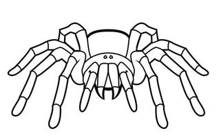 spin tarantula ontwerp illustratie vector