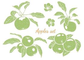 hand- getrokken monochroom appels, hun bladeren en bloemen. grafisch tekening van appels, vector illustratie