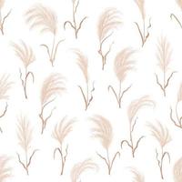 pampa gras naadloos patroon, droog boho achtergrond vector