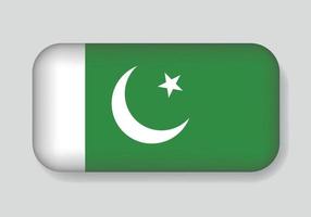 geïsoleerd van de Pakistan vector vlag. vector illustratie vlag ontwerp.