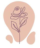 roos bloem in bloesem, flora met inschrijving bloemblaadjes vector