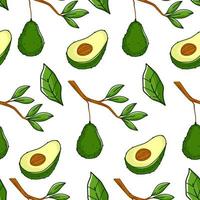 rijp avocado plant, groeit Aan Afdeling patroon vector