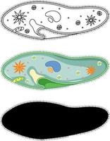 set paramecium in silhouet en doodle op witte achtergrond vector