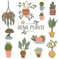 huis planten geplant in pot, bloeiend flora vector