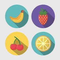 lange schaduw fruit pictogramserie vector