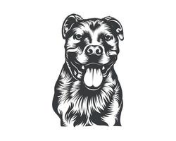 pitbull hond ras vector illustratie, pitbull hond vector Aan wit achtergrond voor t-shirt, logo en anderen