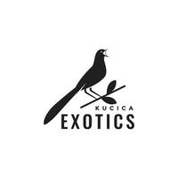 exotisch vogel ekster roodborstjes zanger neergestreken Afdeling Woud geïsoleerd logo ontwerp icoon illustratie sjabloon vector