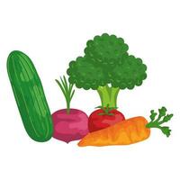 verse groenten gezonde voeding pictogrammen vector