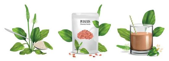 realistisch psyllium concept reeks vector