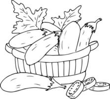 planten fruit groenten oogst. een menu voor de vegetarisch. tekening illustratie. vector