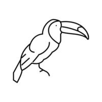 toekan exotische vogel lijn pictogram vectorillustratie vector