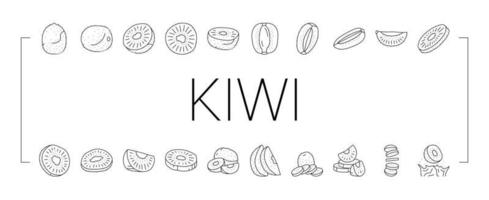 kiwi fruit groen vers plak pictogrammen reeks vector