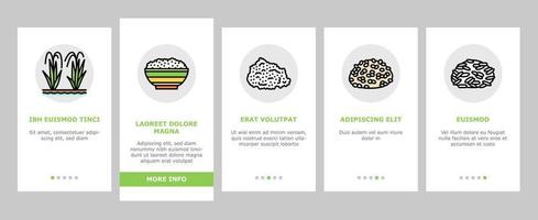 rijst- voor voorbereidingen treffen heerlijk voedsel onboarding pictogrammen reeks vector