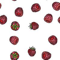 framboos fruit BES rood voedsel vector naadloos patroon
