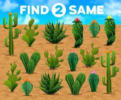 vind twee dezelfde Mexicaans stekelig cactus vetplanten vector