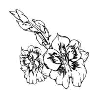 hand- getrokken vector inkt orchidee bloemen, stengels, bladeren, monochroom, gedetailleerd schets. samenstelling met takken. geïsoleerd Aan wit achtergrond. ontwerp voor muur kunst, bruiloft, afdrukken, tatoeëren, omslag, kaart.