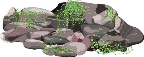 verzameling van stenen van divers vormen en planten.kust kiezels, kasseien, grind, mineralen en geologisch formaties.rock fragmenten, keien en gebouw materiaal.vector illustratie . vector