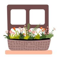 tuin bloemen en kruiden in een rieten mand Aan de venster. voorjaar huis decoratie. vector illustratie