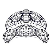 mooi schildpad mandala kunsten. geïsoleerd Aan wit achtergrond. vector