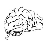 menselijk brein intelligentie symbool geïsoleerd in zwart en wit vector