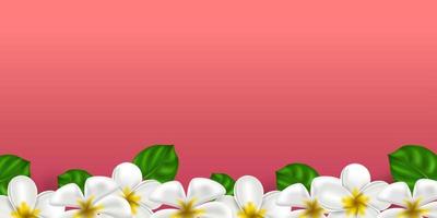 vector realistische tropische Hawaiiaanse bloemplumeria. wit-gele kleur frangipani op een koraalkleurige achtergrond. zomerparadijs. botanische aardillustratie voor banner en kaarten. bloemen frame