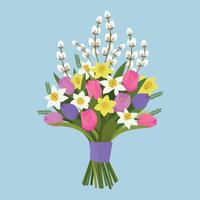 boeket van tulpen, gele narcis en kutje wilg. vector