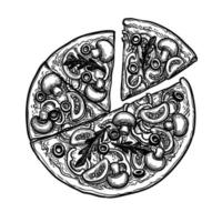 gesneden vegetarisch pizza bekroond met paddestoelen, olijven en rucola. inkt schetsen geïsoleerd Aan wit achtergrond. hand- getrokken vector illustratie. retro stijl.