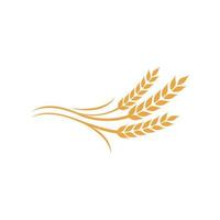 tarwe rijst- landbouw logo vector