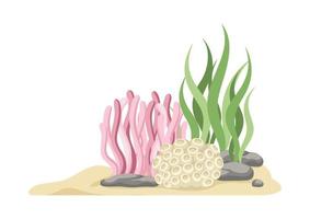 koraal riffen met algen, zeewier en rotsen vector tekenfilm illustratie