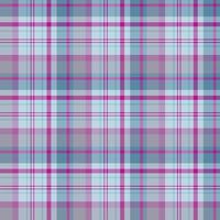 naadloos patroon in discreet blauw en Purper kleuren voor plaid, kleding stof, textiel, kleren, tafelkleed en andere dingen. vector afbeelding.