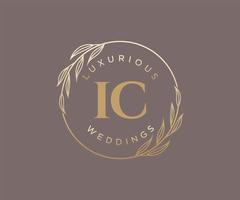 ic initialen brief bruiloft monogram logos sjabloon, hand- getrokken modern minimalistisch en bloemen Sjablonen voor uitnodiging kaarten, opslaan de datum, elegant identiteit. vector