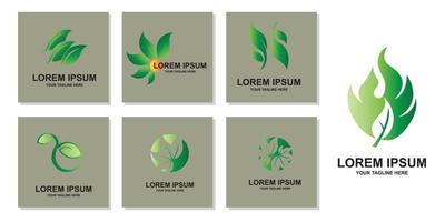 premium kwaliteit groen blad plant logo vector symbool