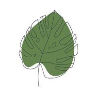 monstera blad lijn kunst vector