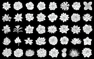 sappig fabriek vector illustratie, reeks van silhouet echeverie. woestijn bloem hand- getrokken Aan zwart achtergrond. geïsoleerd elementen in gemakkelijk stijl, vetplanten, cactus, agave, aloë, echeveria